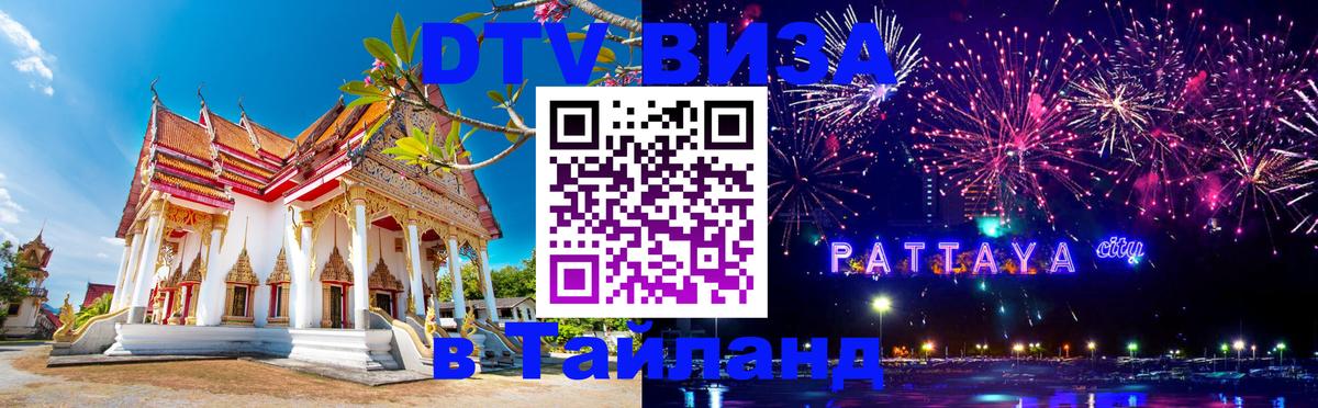 Оформление DTV визы под ключ: стоимость и тарифы, только загранпаспорт - Тверь  20.11.2025 